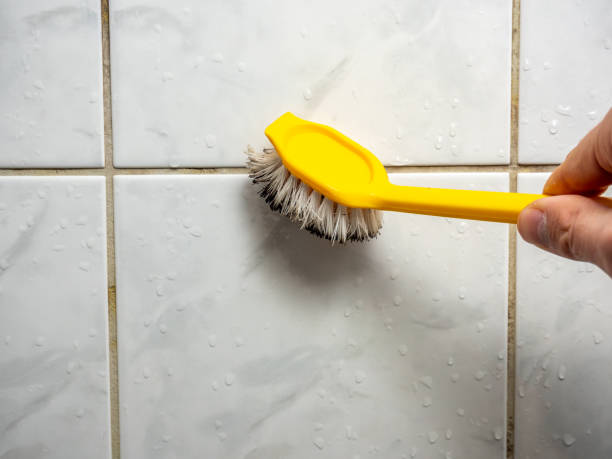 Best Mold Removal Near Me  in St George, UT