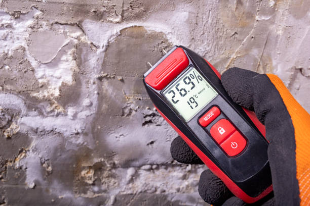 Best Emergency Mold Removal  in St George, UT
